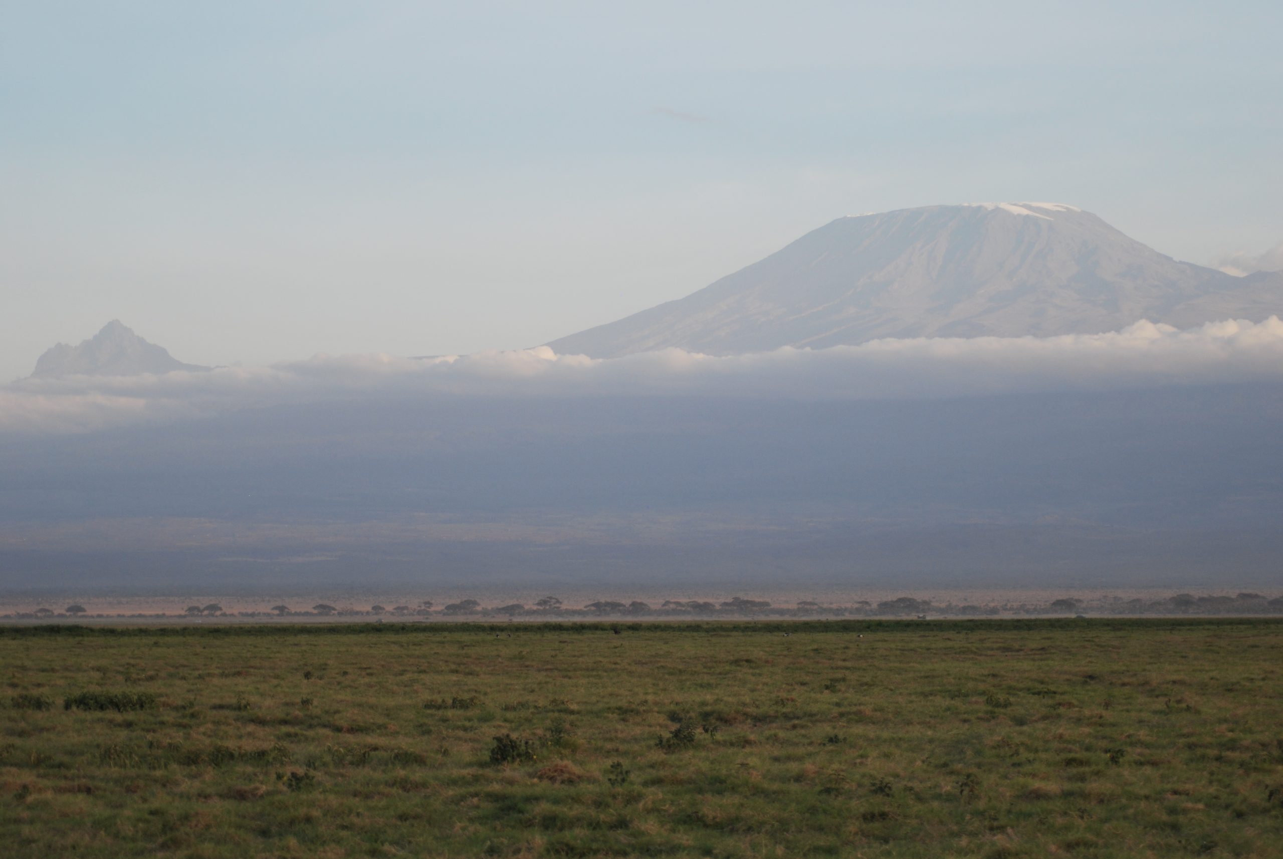 Fieldwork, East Africa